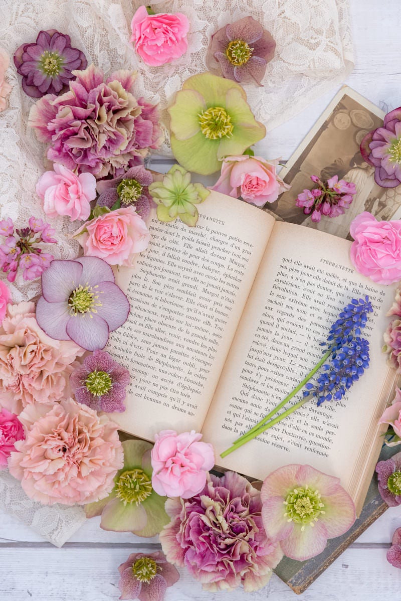 「開かれた洋書を囲う生花」の写真