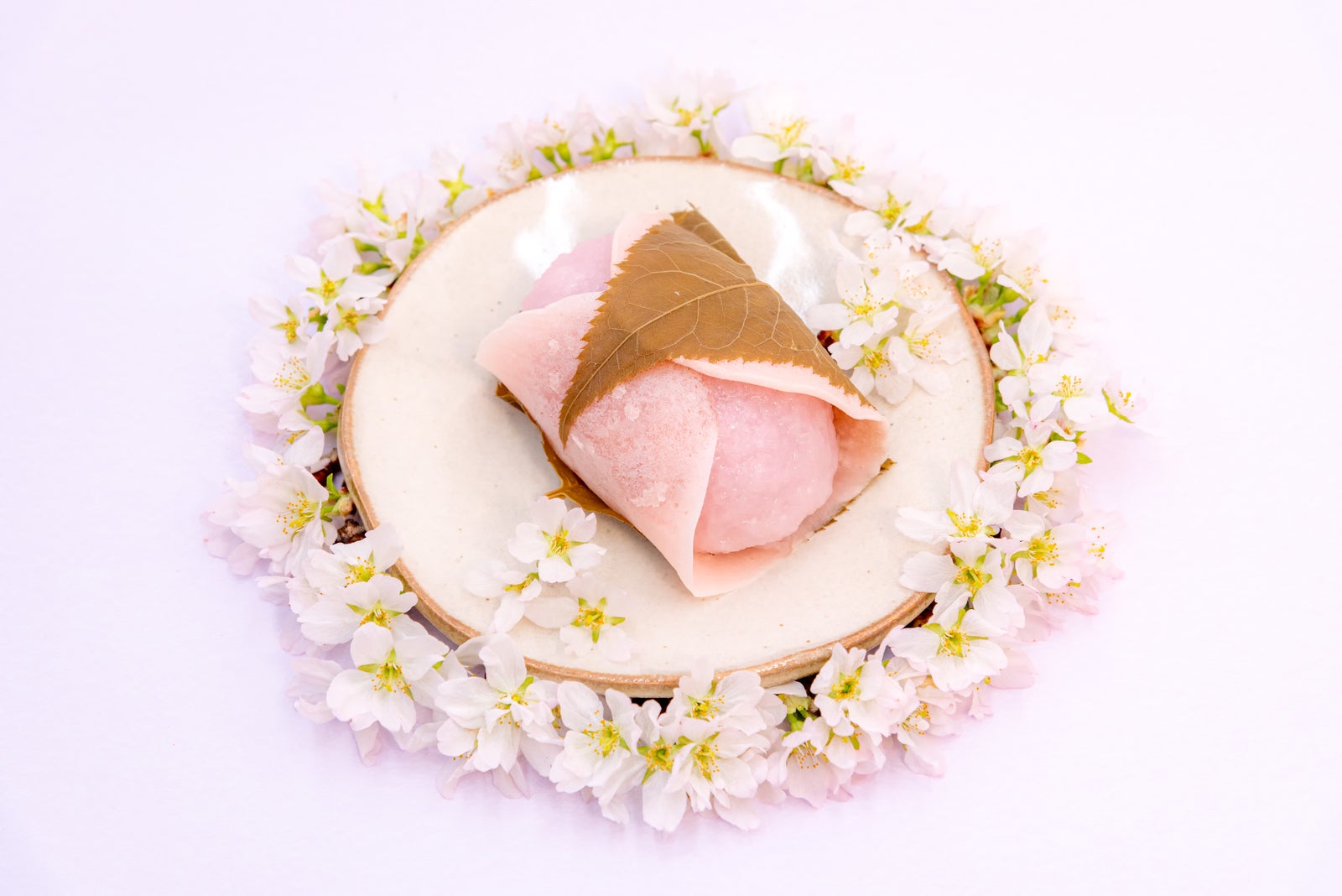 「お皿に盛り付けられたキメラ桜もち」の写真