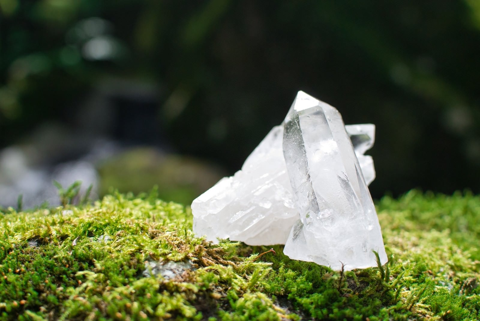 「緑の苔と水晶」の写真