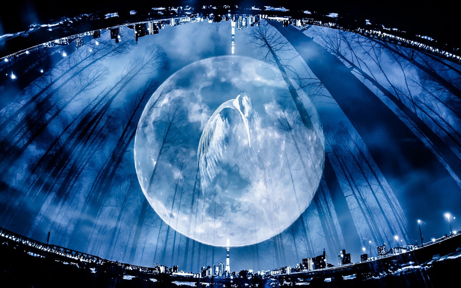 「満月と鶴（フォトモンタージュ）」の写真