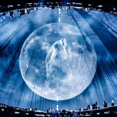 満月と鶴（フォトモンタージュ）の写真