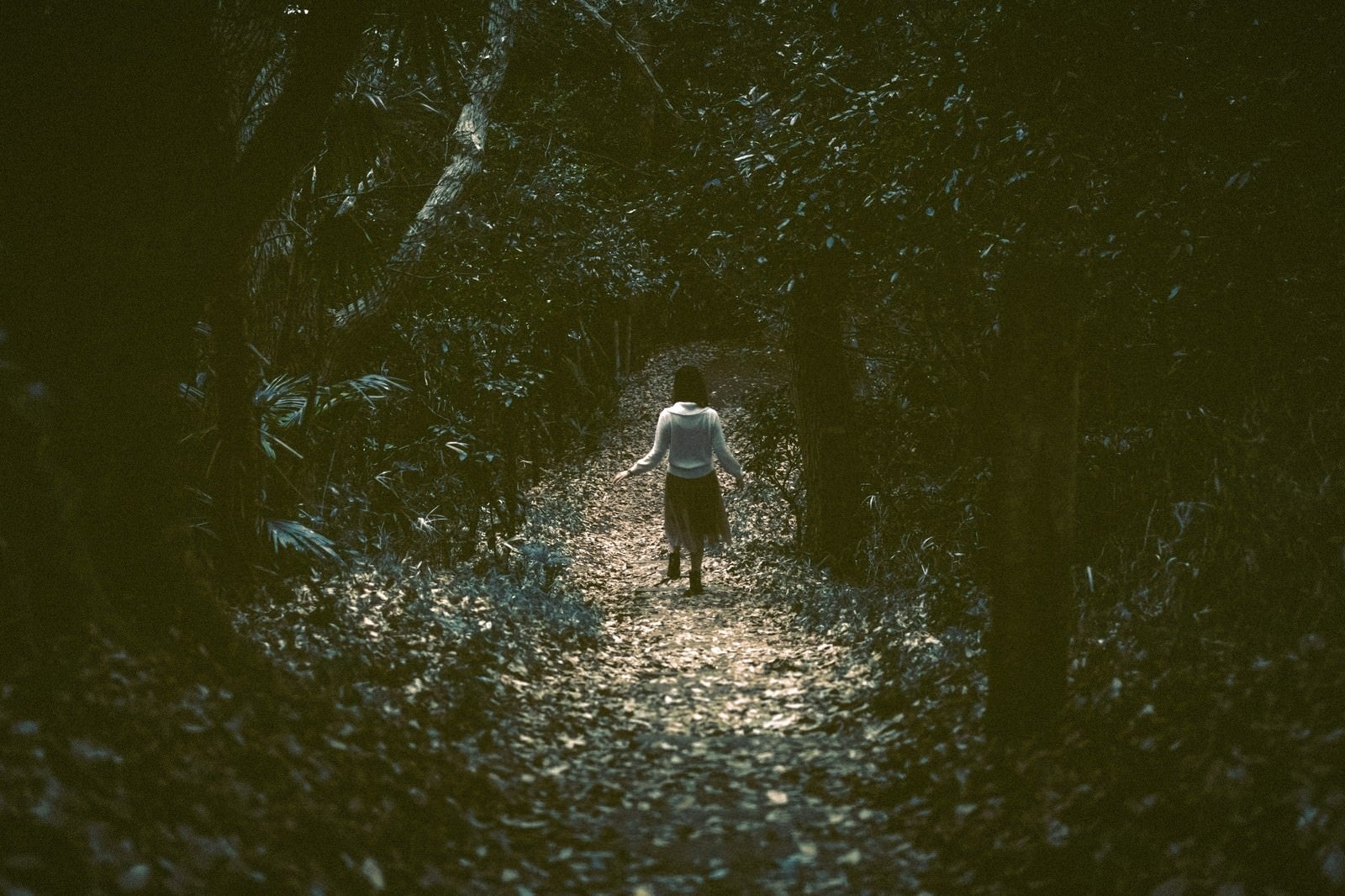 「暗い森の中を歩く女性の後姿」の写真［モデル：モデルリリース］
