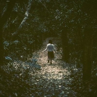 暗い森の中を歩く女性の後姿の写真
