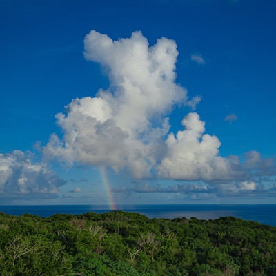 硫黄島の南海上に現れた虹の写真