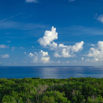 鬱蒼と茂る木々の向うに広がる海と雲と遠くに見える南硫黄島の写真