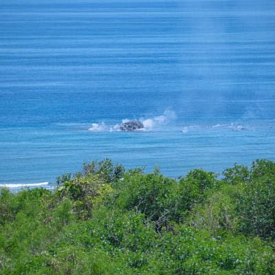 翁浜沖の海上に見える黒い噴煙の写真