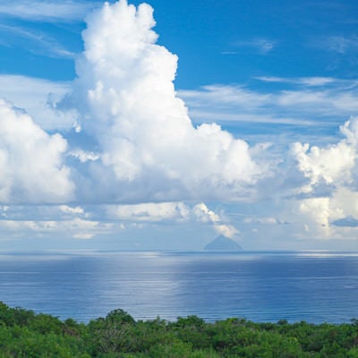 ジャングルの向うの雲の白さを映す海と空の間に見える南硫黄島の写真
