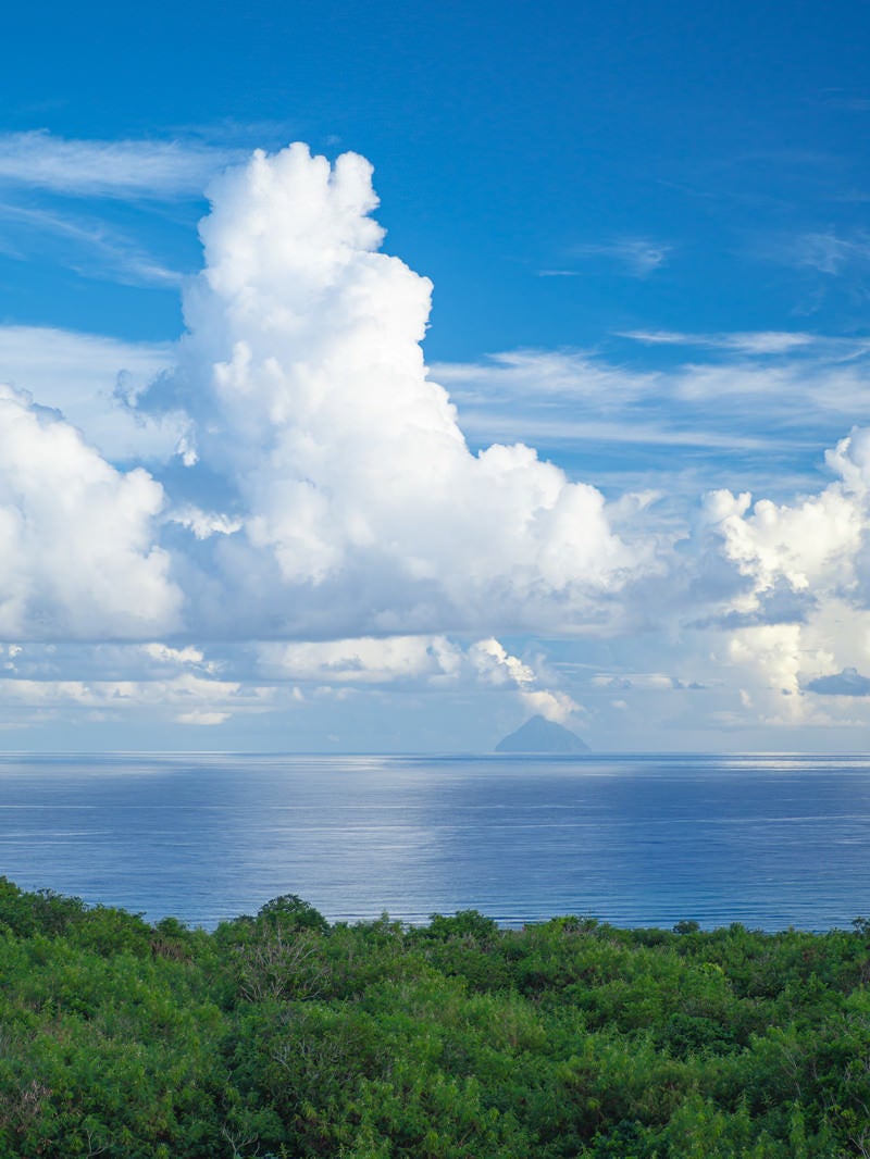「ジャングルの向うの雲の白さを映す海と空の間に見える南硫黄島」の写真