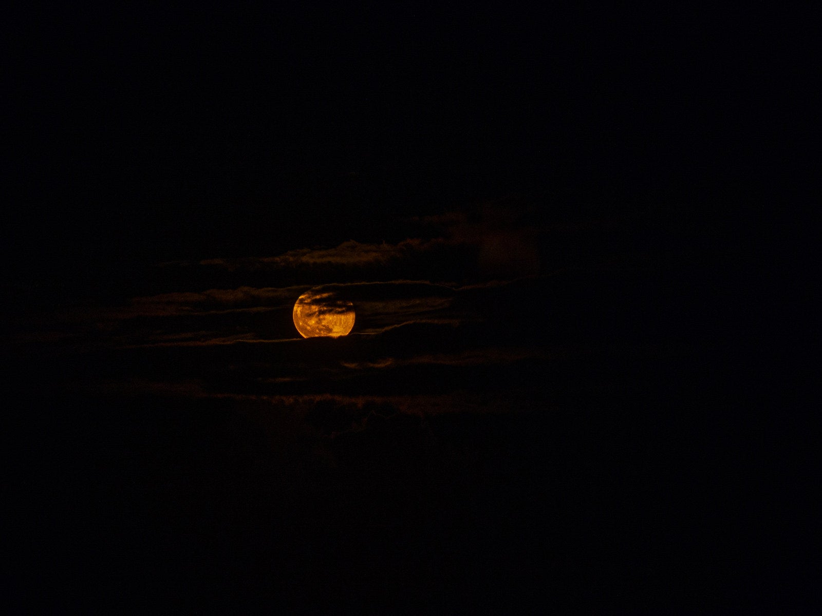 「夜空を彩る月と雲」の写真