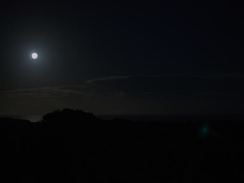 月夜に影を落とすジャングルと静かに輝く空の写真