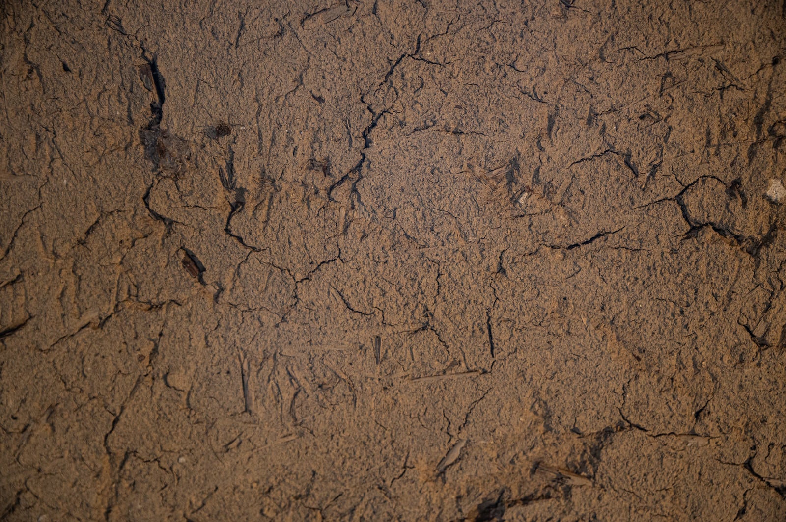 「乾燥してひび割れた土の地面」の写真