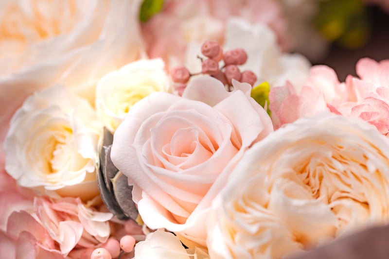 薄いピンクのキュートな花の写真