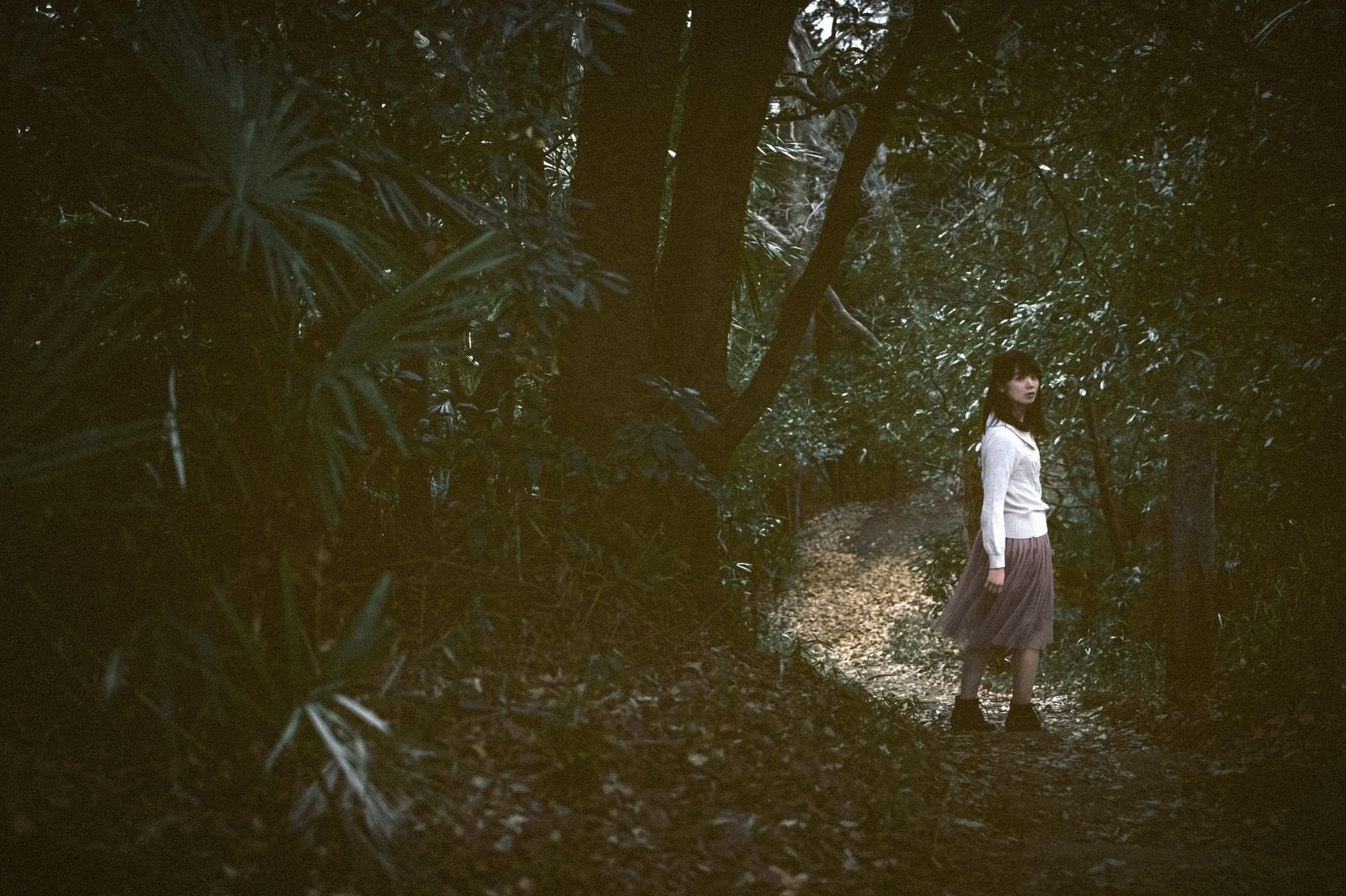 「森に迷い込んだ女性」の写真［モデル：モデルリリース］