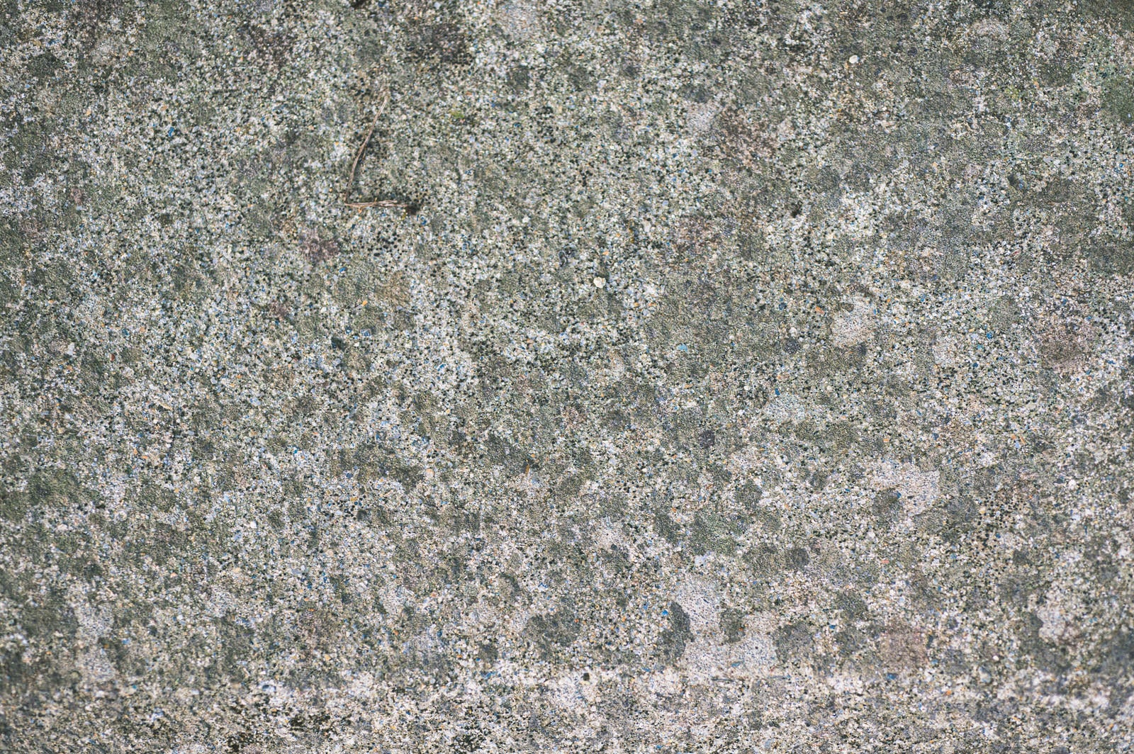 「斑点模様に見えるコンクリートの地面」の写真
