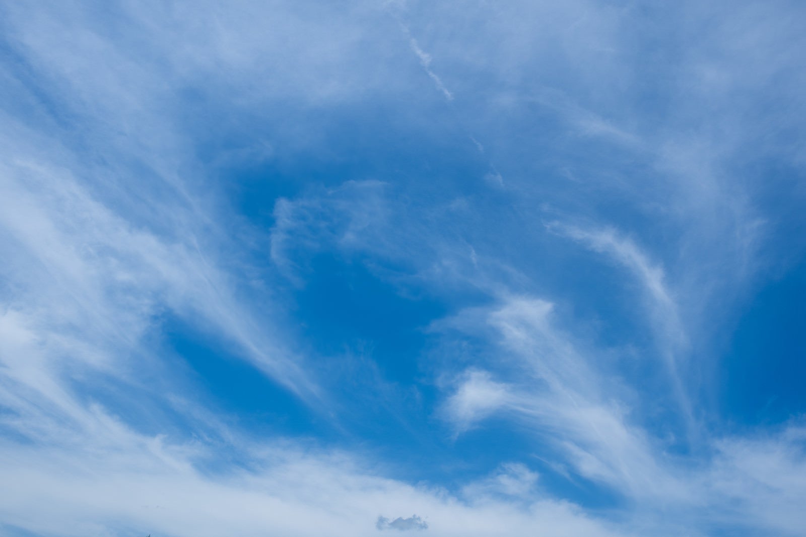 「▲晴れわたる空と薄雲」の写真