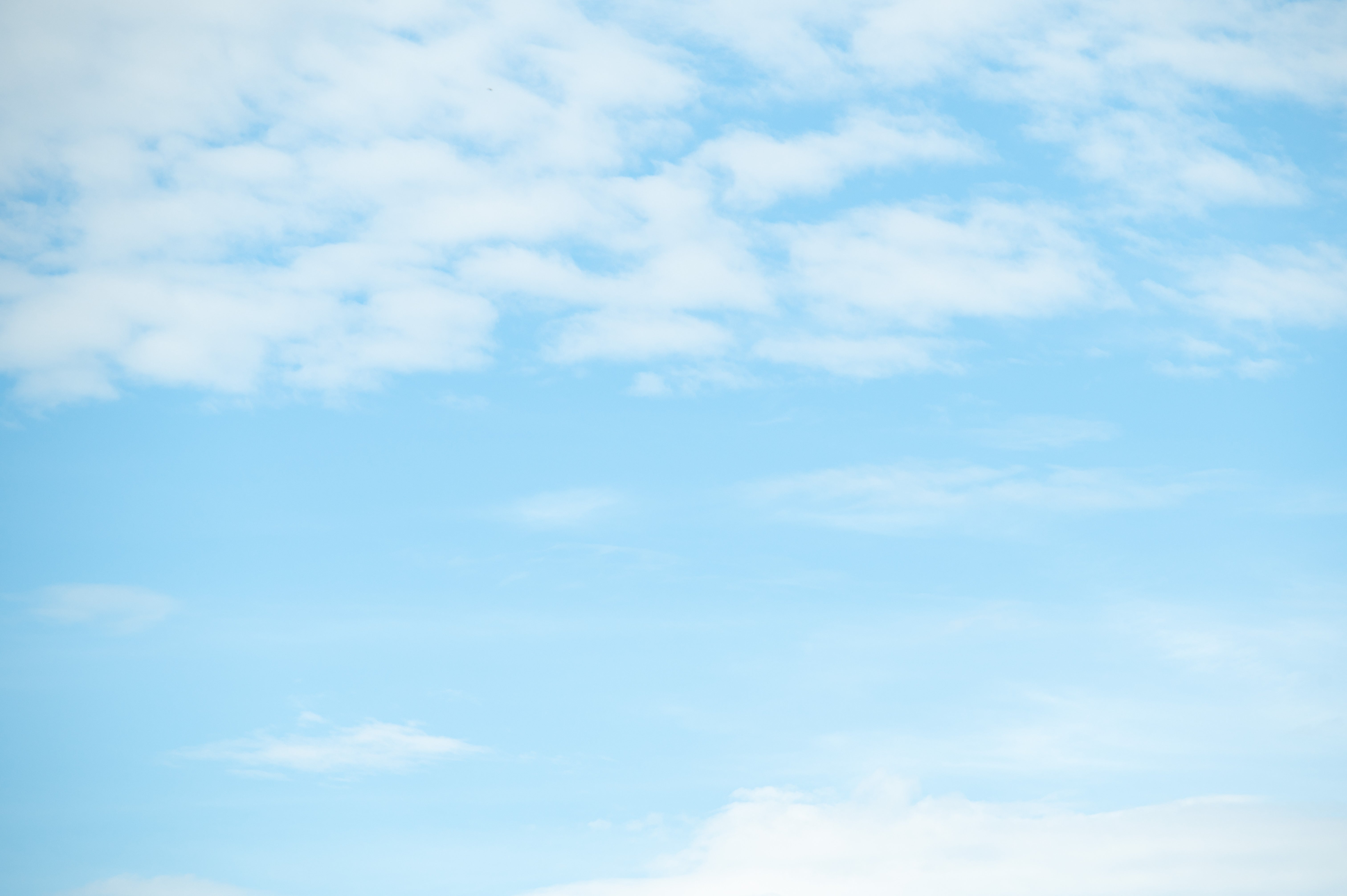 美麗! 高精細 プリント 写真 「青空へ・・・。」 美麗! 高精細 プリント 写真 「青空へ・・・。」 Eng sub] I painted