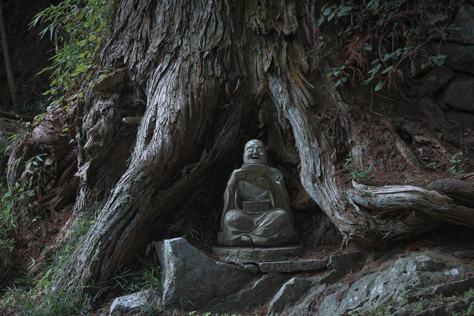 「東堂山満福寺の杉の下にお座りになる石像」の写真