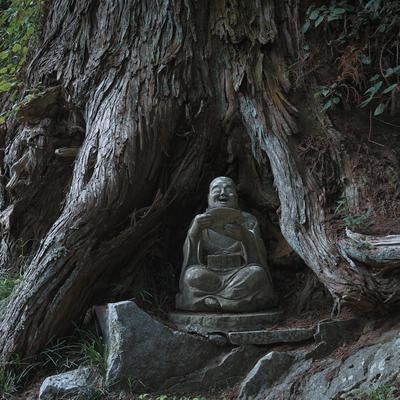 東堂山満福寺の杉の下にお座りになる石像の写真