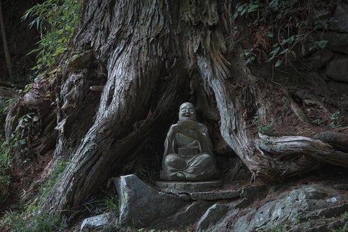 東堂山満福寺の杉の下にお座りになる石像の写真