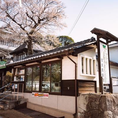 津山城跡入り口に位置するつやま自然のふしぎ館の写真