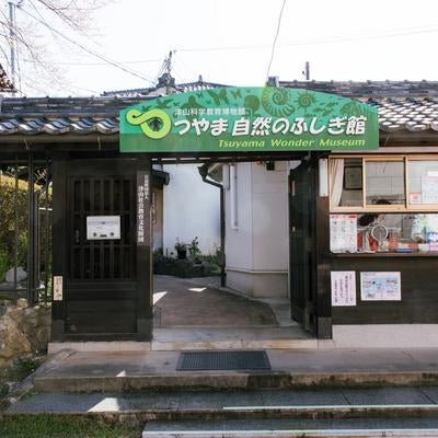 1963年11月に会館し約20,000点の剥製や標本などを展示しているつやま自然のふしぎ館の写真