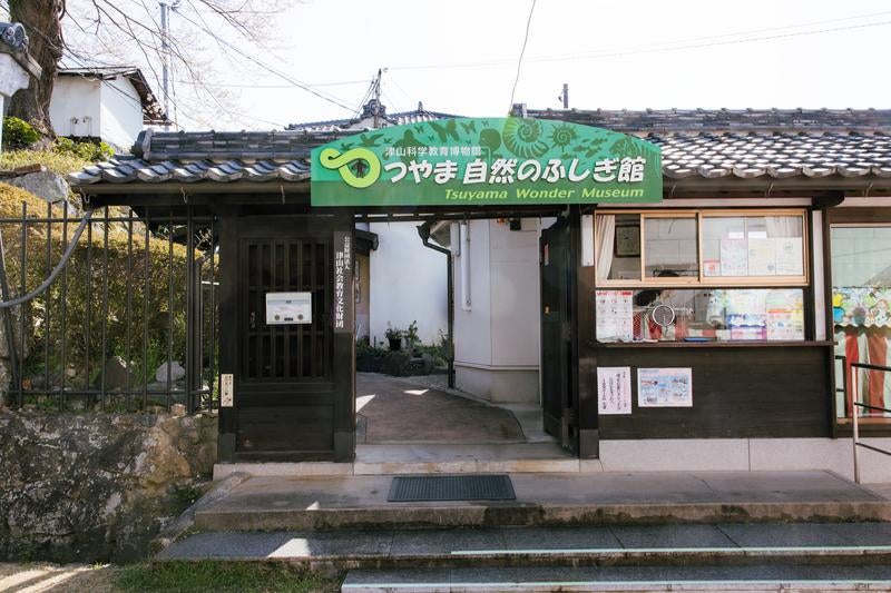 1963年11月に会館し約20,000点の剥製や標本などを展示しているつやま自然のふしぎ館の写真