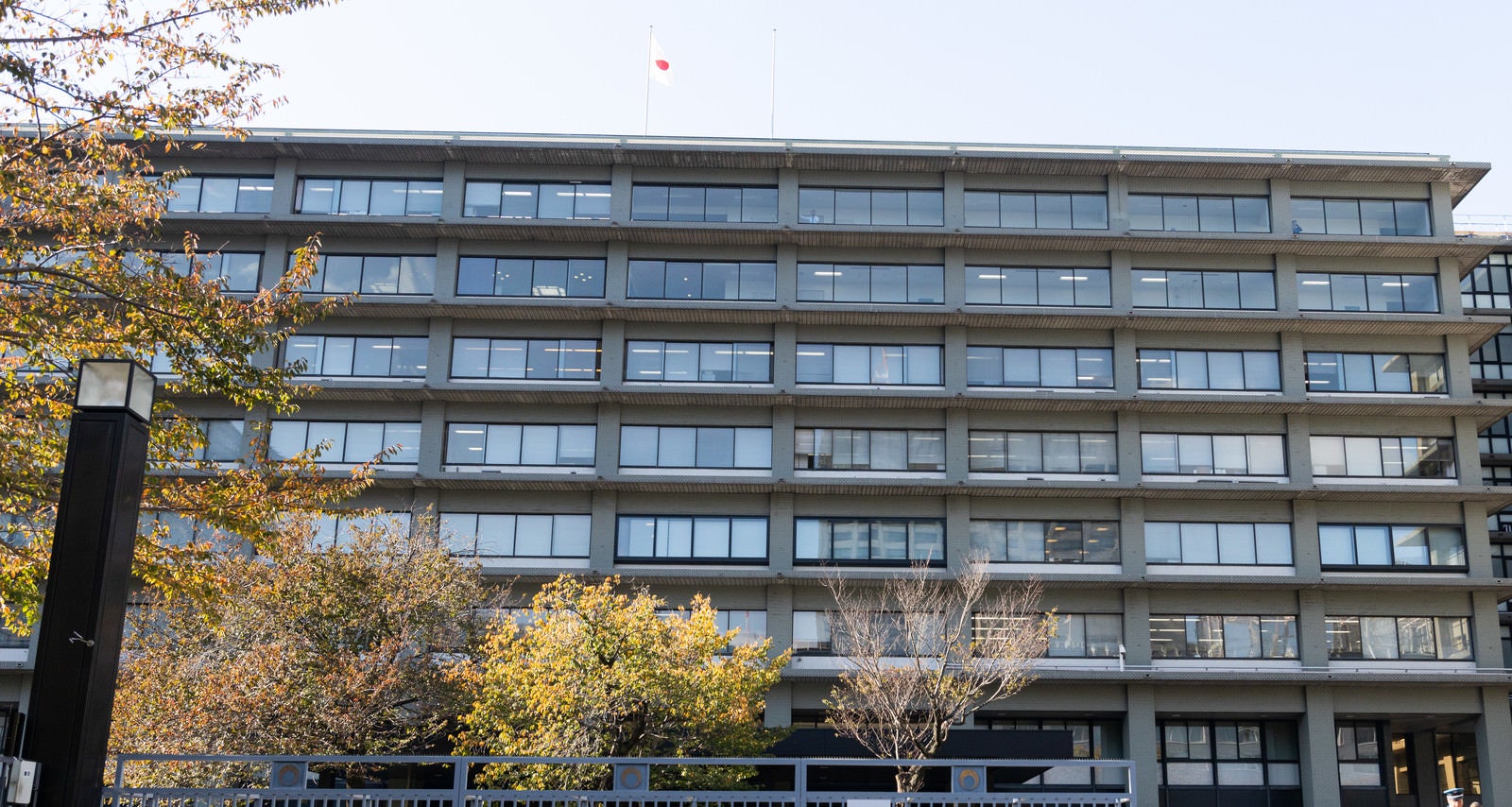 「外務省庁舎の様子」の写真