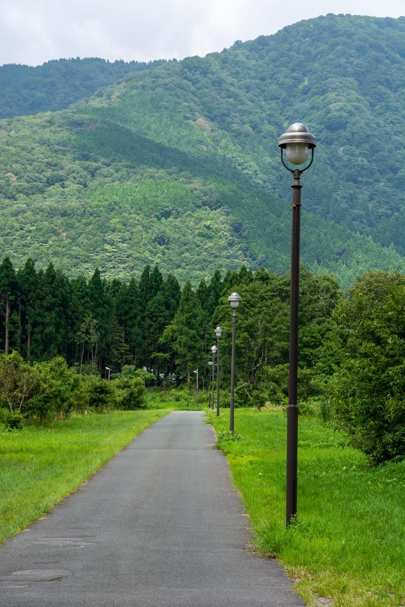 メタセコイア並木から山へと続く細い道に並ぶ街灯の写真