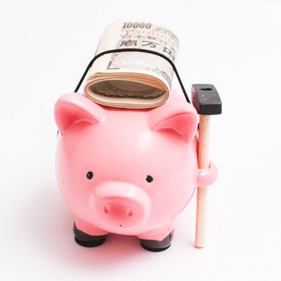 札束を背負ってきた豚の貯金箱の写真