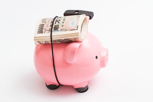 1万円札専用の豚の貯金箱の写真