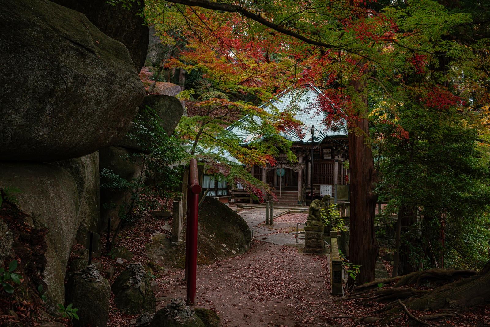 「岩角寺参道と毘沙門堂の紅葉」の写真