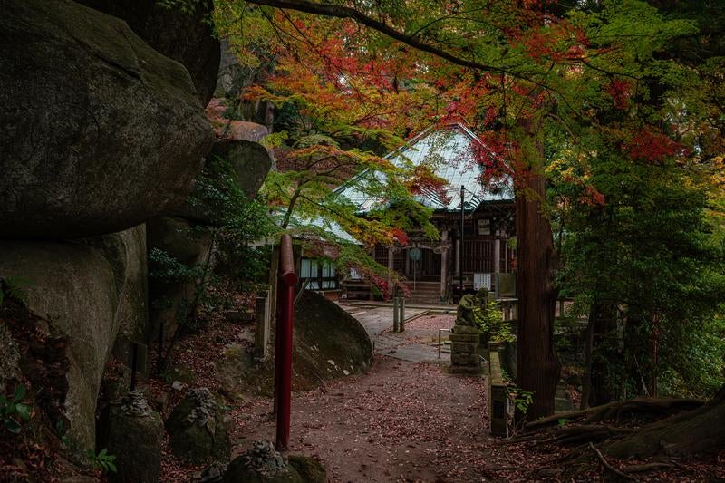 岩角寺参道と毘沙門堂の紅葉の写真