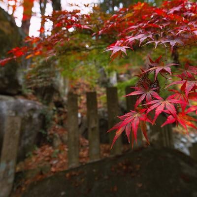 紅葉に包まれた岩角寺、秋の豊かな色彩の写真