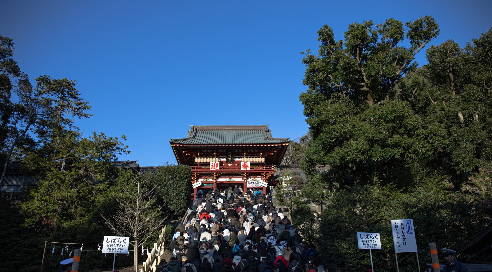 「行列をなす鶴岡八幡宮の初詣」の写真