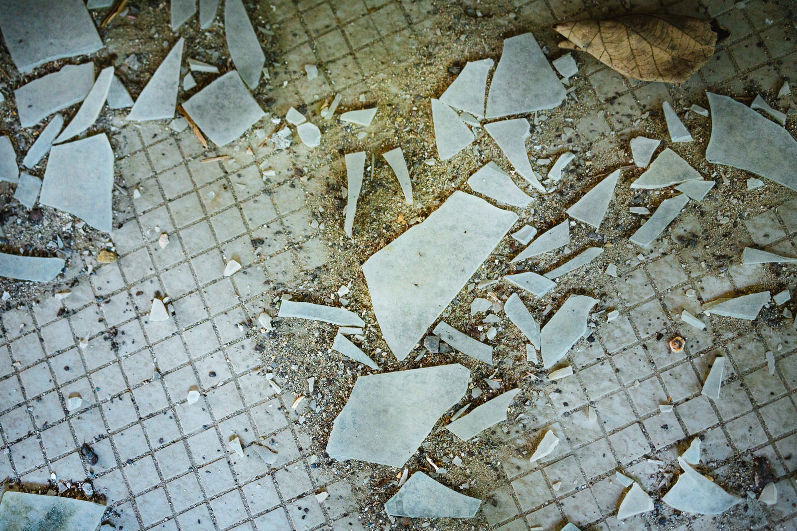 「廃墟のガラス片」の写真