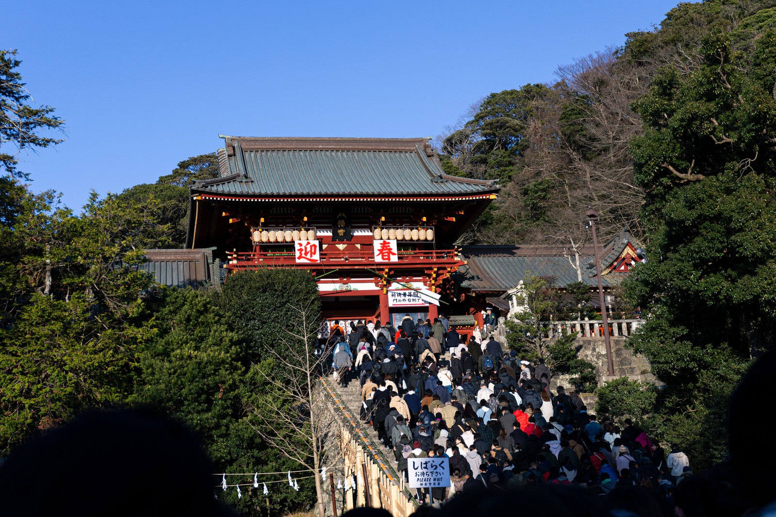 「初詣の参拝客で混雑する鶴岡八幡宮」の写真
