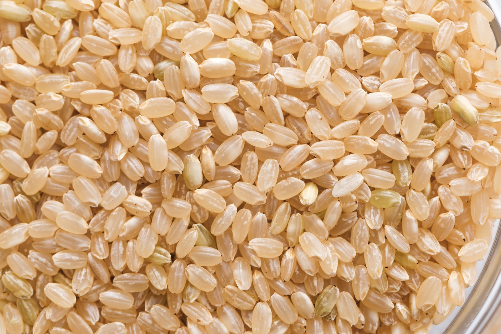 「玄米の粒」の写真
