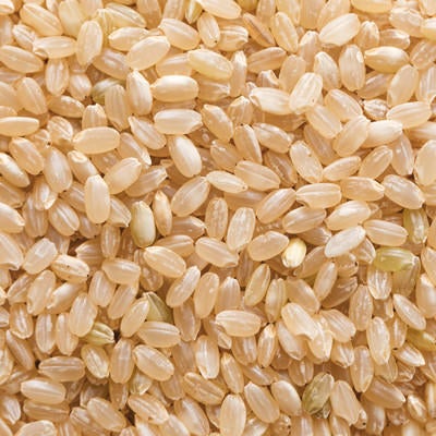 玄米の粒の写真