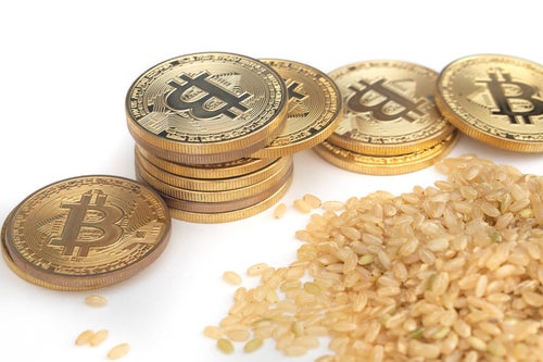 玄米とビットコインの出会いの写真
