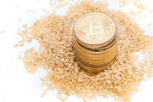 玄米と仮想通貨の玄米婚の写真