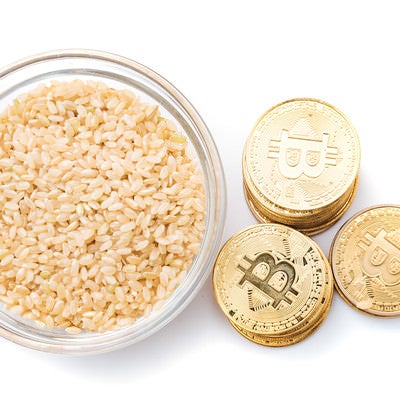 仮想通貨で玄米がうまいの写真