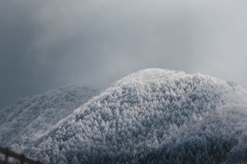 樹氷の山の写真