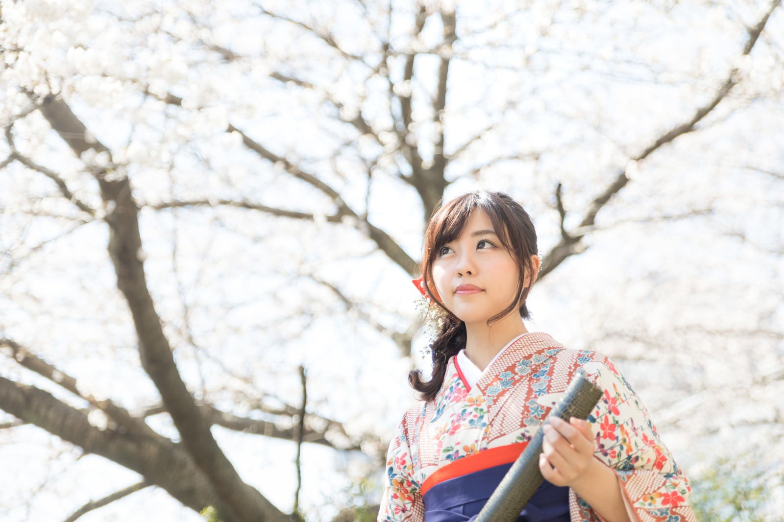 「大きな桜の木の下で卒業の記念撮影」の写真［モデル：河村友歌］