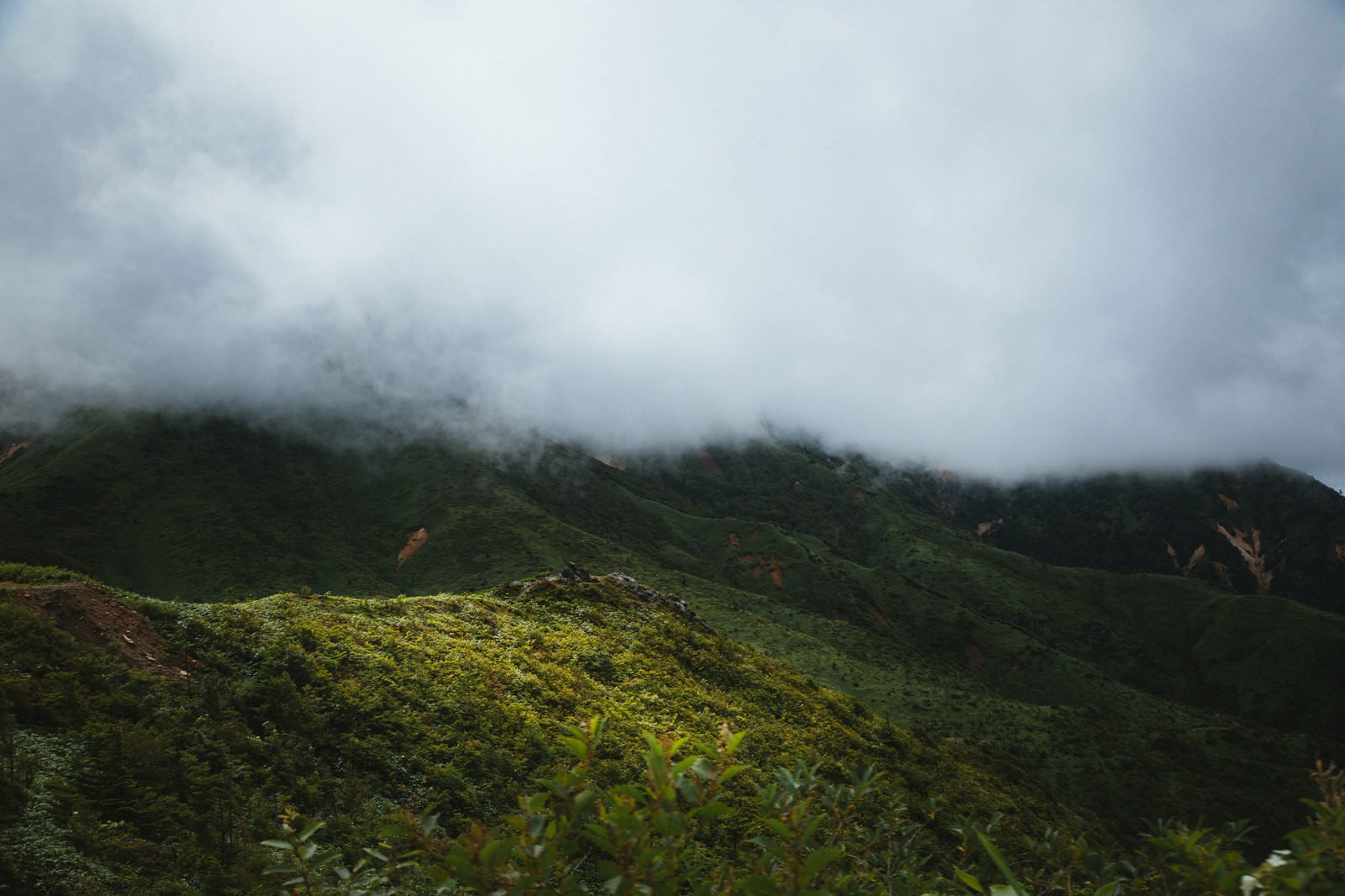 「雲で覆われた山々」の写真