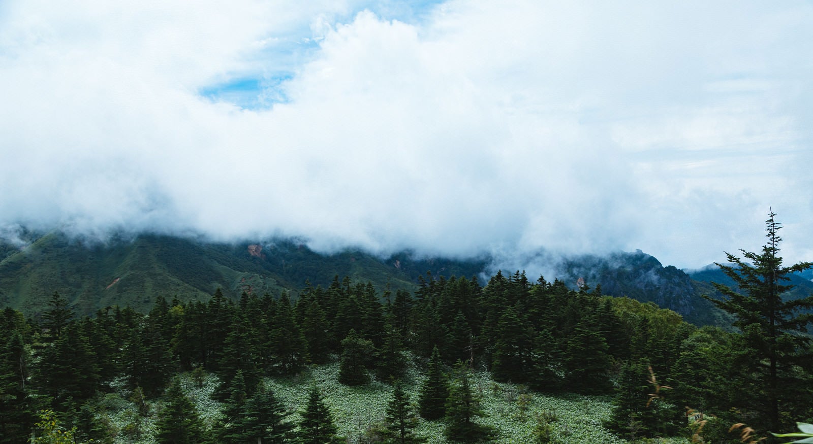 「雲に覆われた渓谷」の写真