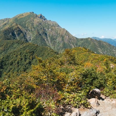 谷川岳景観の写真