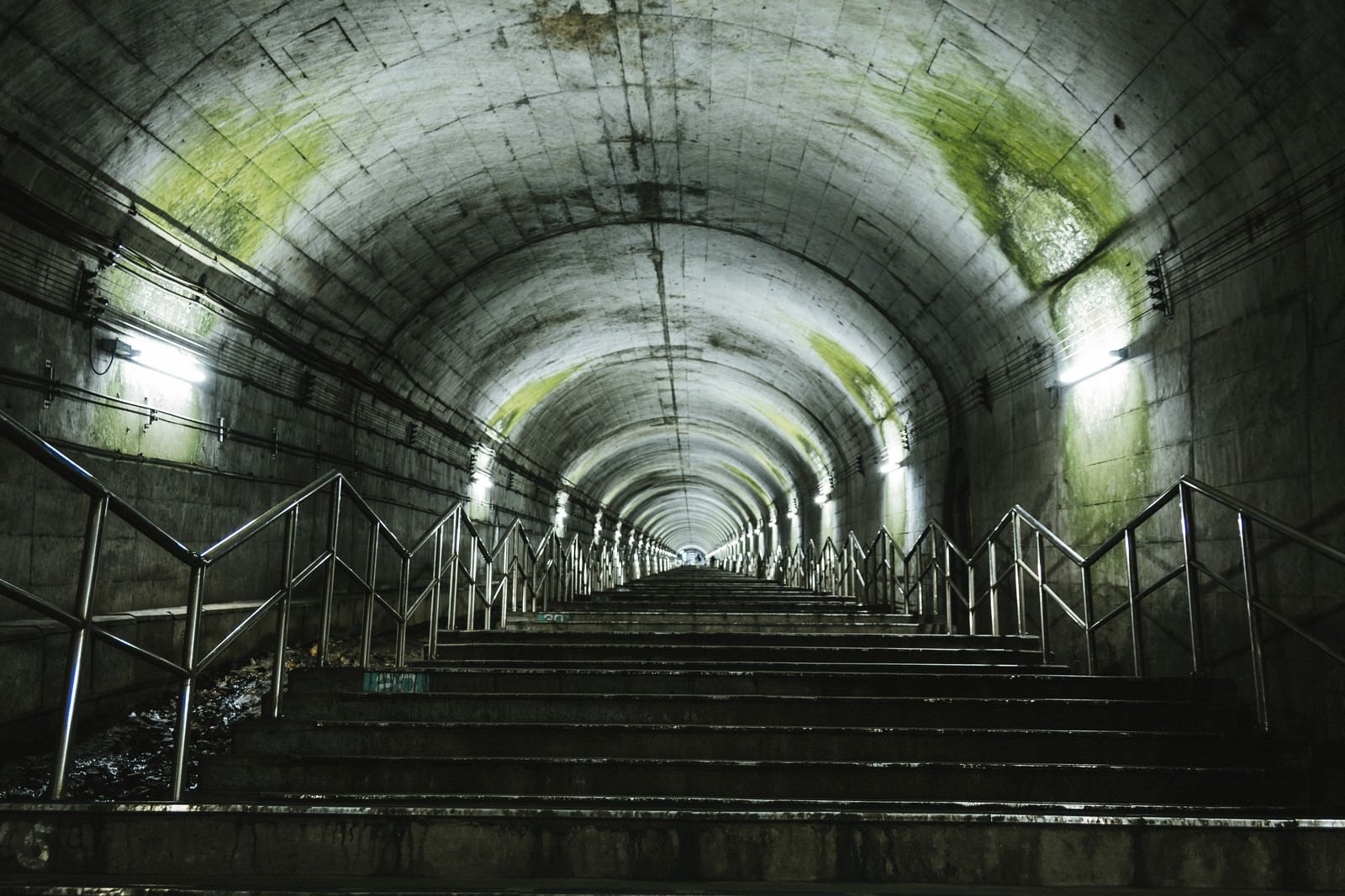 「トンネルの天井にこびり付いた苔（土合駅の階段）」の写真