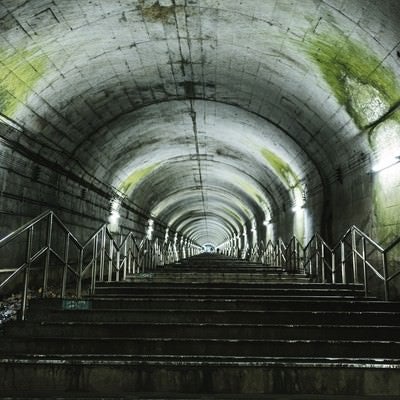 トンネルの天井にこびり付いた苔（土合駅の階段）の写真