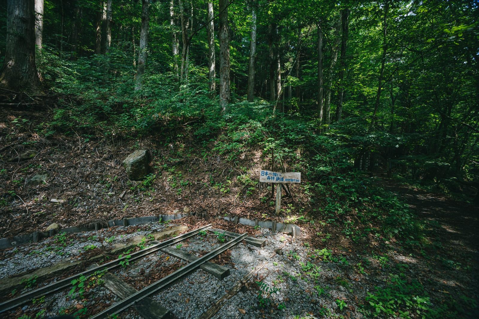 「日本一短い森林鉄道（都路町観光協会）」の写真