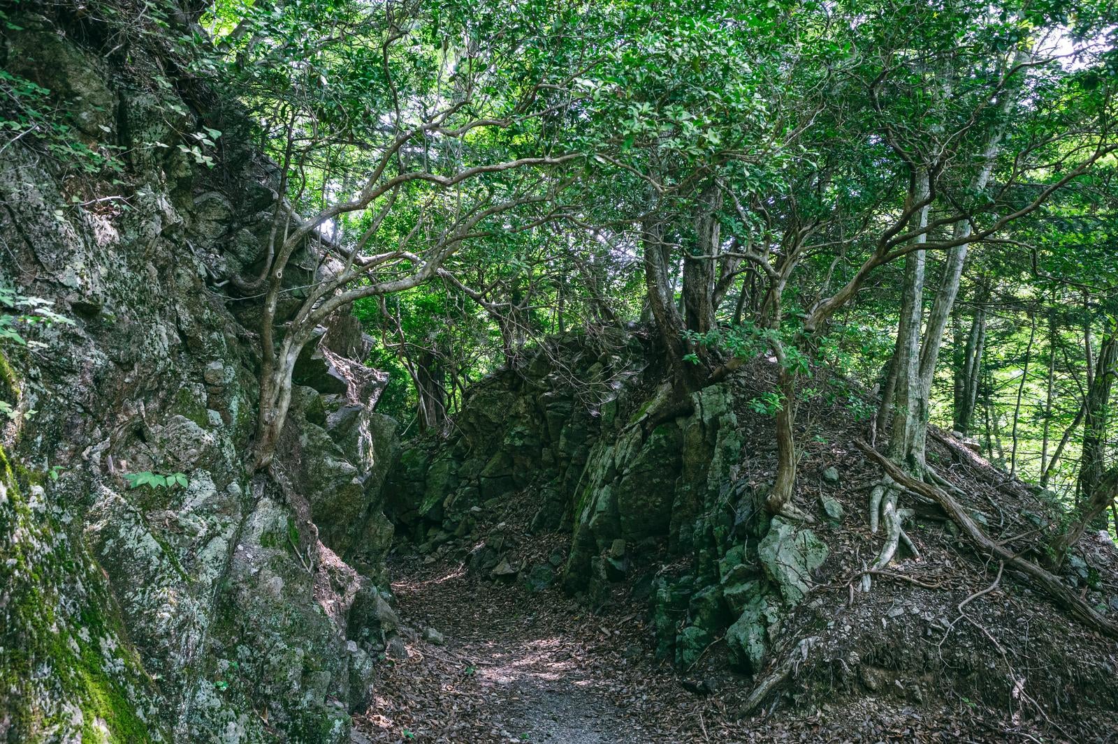 「岩の斜面と遊歩道を歩く（行司ヶ滝遊歩道）」の写真